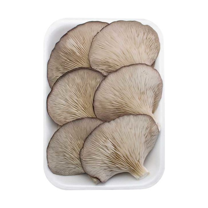 Seta cultivada 500g (Sólo para envíos en Comunidad de Madrid)