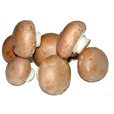 Champiñón Portobello 500g (Solamente envíos en Comunidad de Madrid)