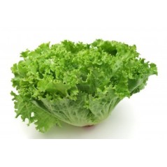 Lechuga Rizada (envíos solamente en Comunidad de Madrid)