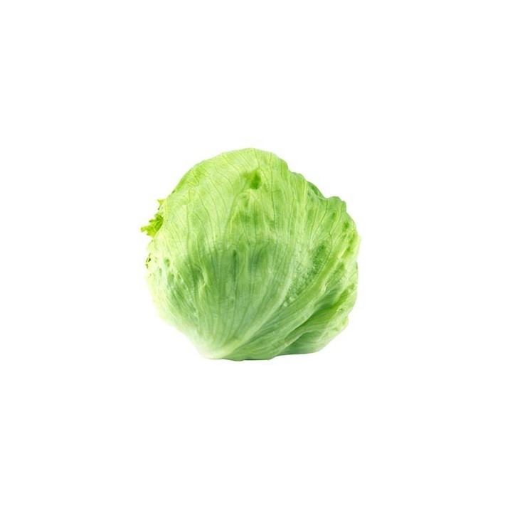 Lechuga Iceberg