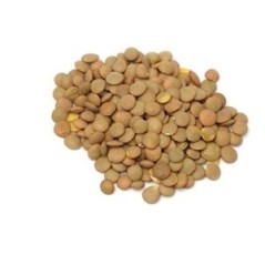 Lenteja Castellana 1 kg
