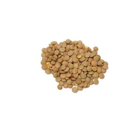 Lenteja Castellana 1 kg