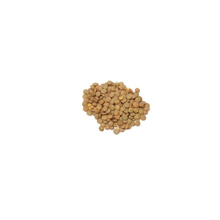 Lenteja Castellana 1 kg