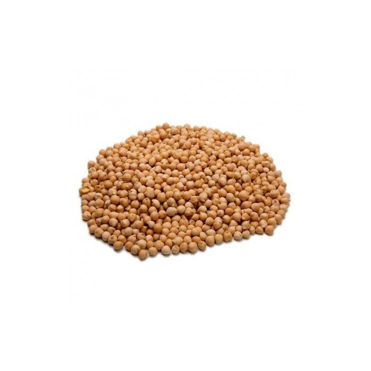 Garbanzo Pedrosillano