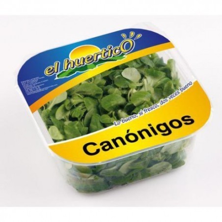 Canónigos