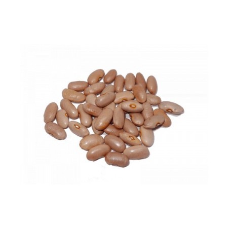Judía Canela 1 kg