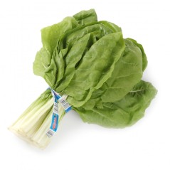 Manojo de acelgas 1kg