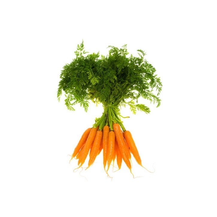 Manojo de zanahorias