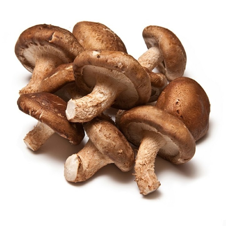 Seta Shiitake Paquete de 500 gramos