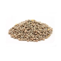 Lenteja Pardina 1 kg