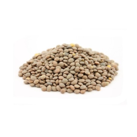 Lenteja Pardina 1 kg