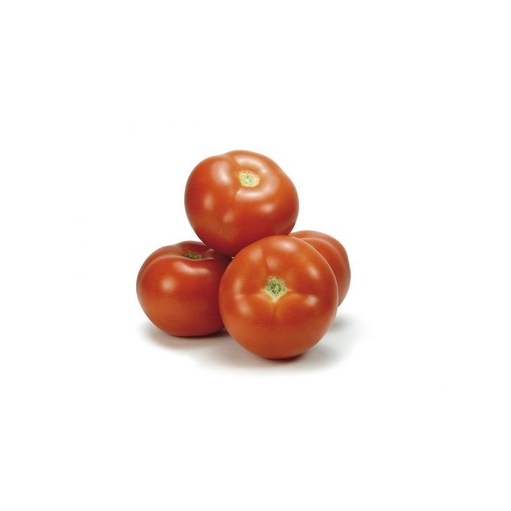 Tomates del Terreno 1 kilogramo