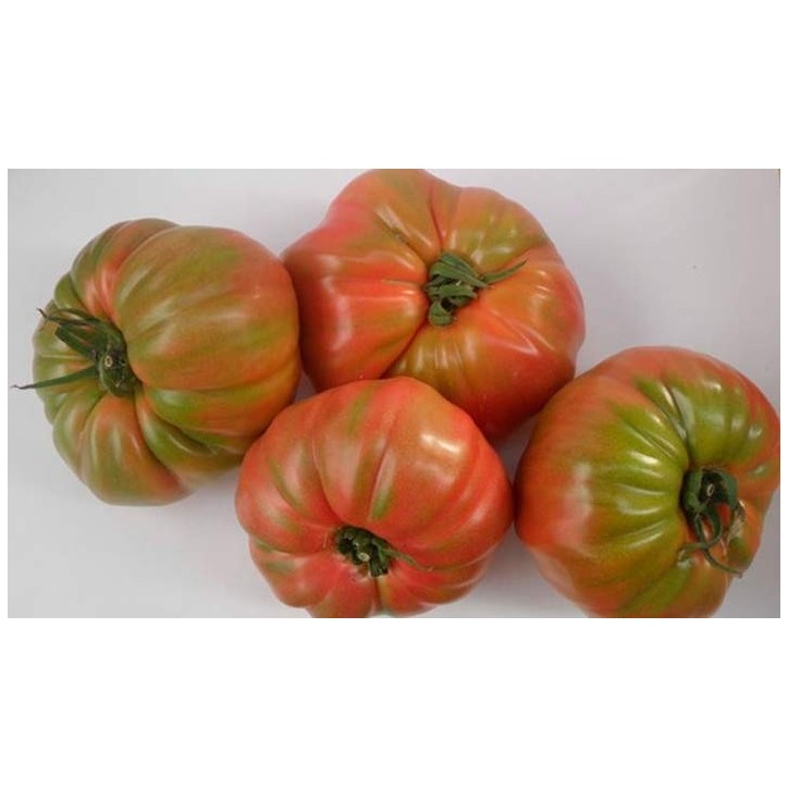 Tomate Rosa 1 unidad