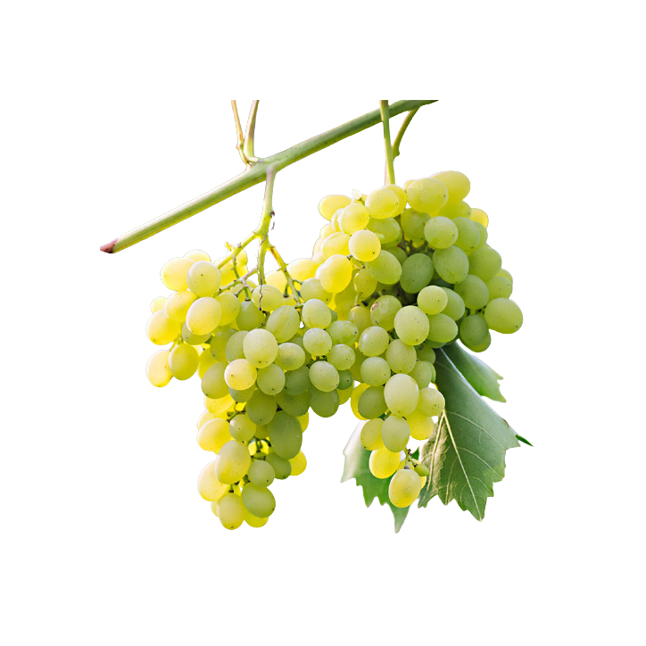 Uva blanca sin pepita 600-800g (Solamente para envíos en Comunidad de Madrid)