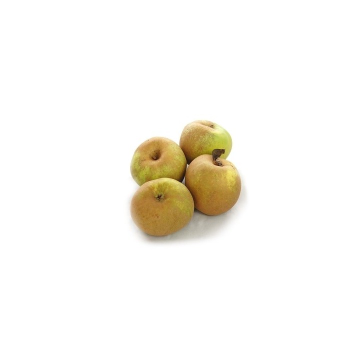 Manzana Reineta del Bierzo (unidad)