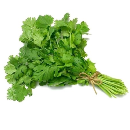 Cilantro manojito (Solamente enviamos en Comunidad de Madrid)