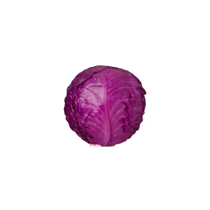 Lombarda unidad