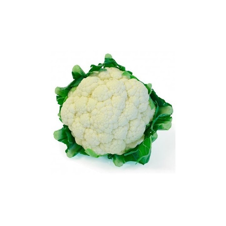 Coliflor