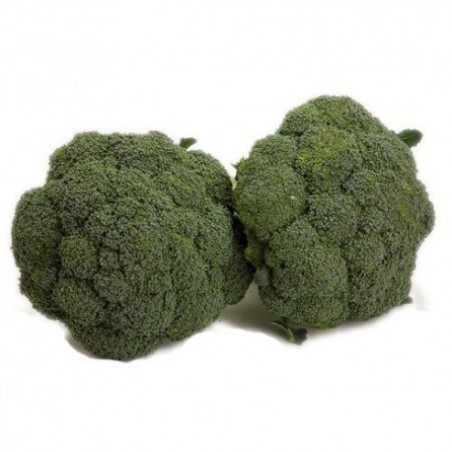 Brócoli